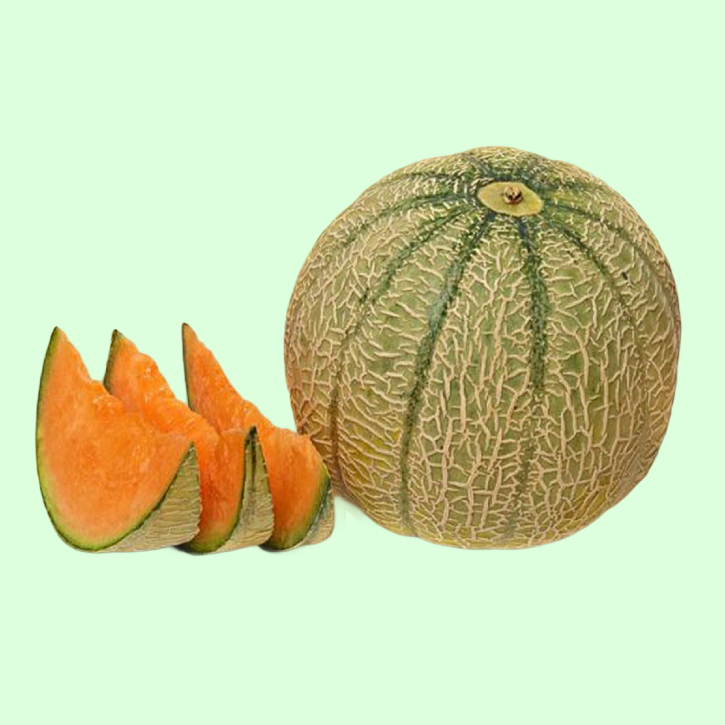 Melon Cantaloupe